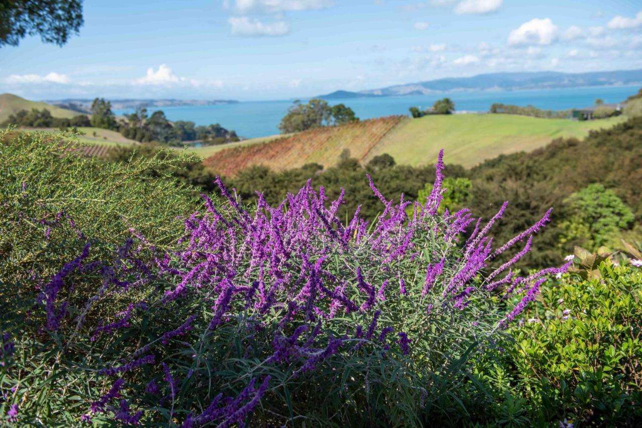 Waiheke Luxury Blue And Green Rooms Ostend Экстерьер фото